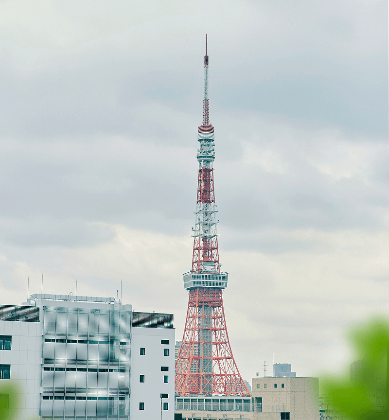 数字で見るボスコテクノロジー