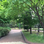 environment1